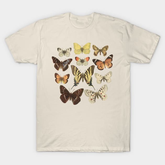 Museum Butterflies T-Shirt by uncommontee